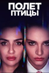 Турецкий сериал Полет Птицы смотреть онлайн